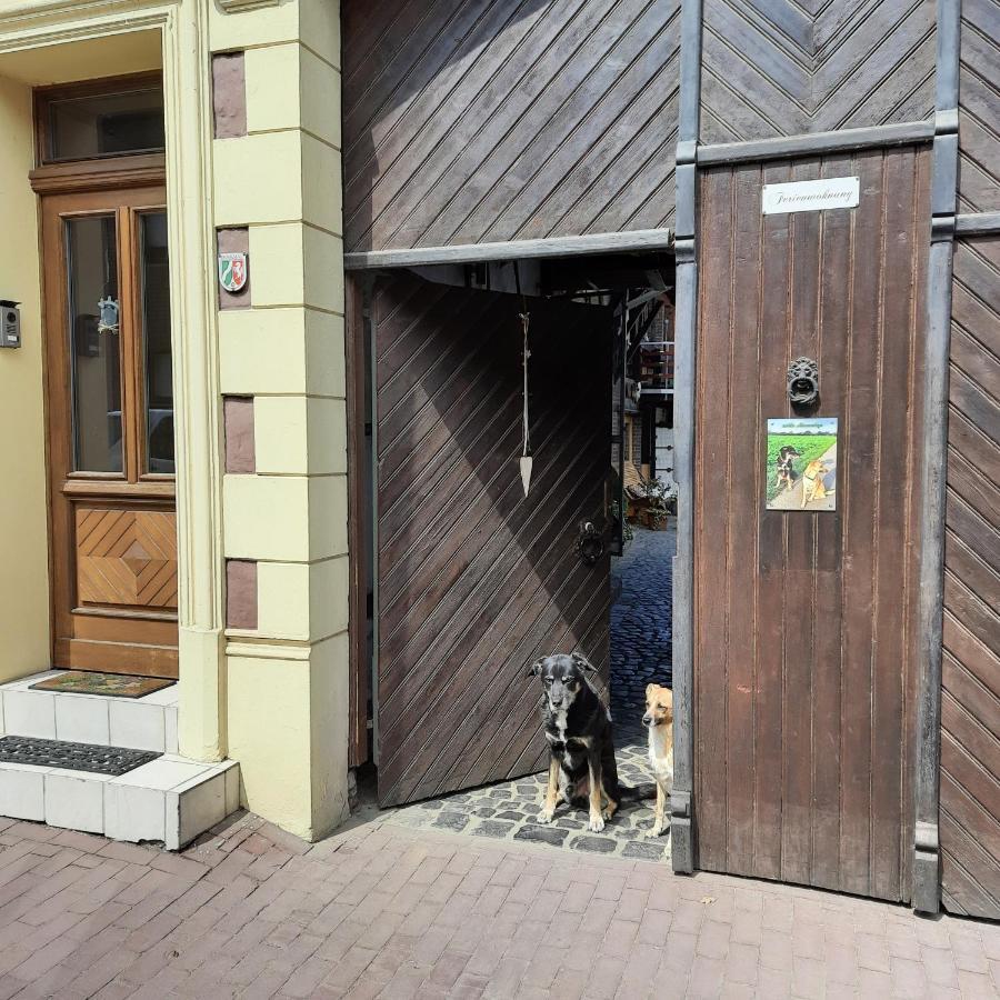 Ferienwohnung Hahnenblick Waldfeucht Eksteriør billede