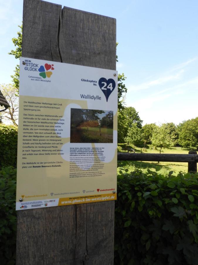 Ferienwohnung Hahnenblick Waldfeucht Eksteriør billede